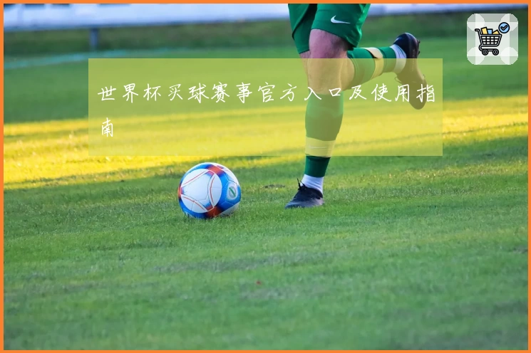 世界杯买球赛事官方入口及使用指南