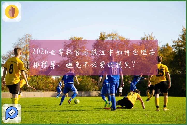 2026世界杯官方投注中如何合理安排预算，避免不必要的损失？