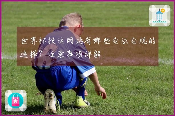 世界杯投注网站有哪些合法合规的选择?注意事项详解