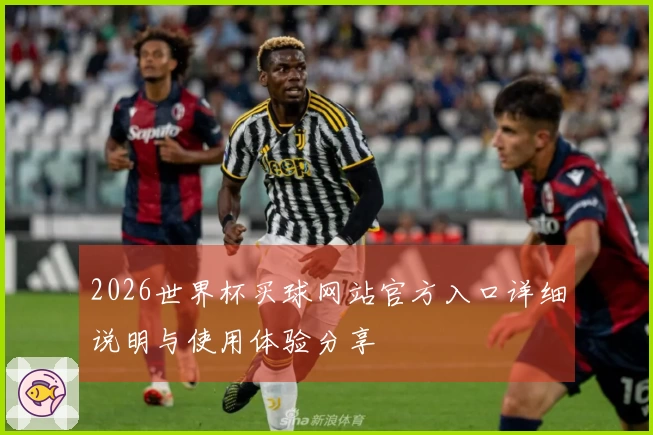 2026世界杯买球网站官方入口详细说明与使用体验分享