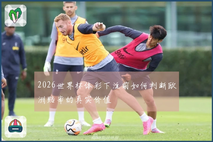 2026世界杯体彩下注前如何判断欧洲赔率的真实价值