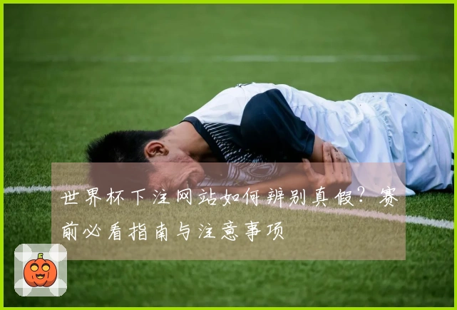 世界杯下注网站如何辨别真假？赛前必看指南与注意事项