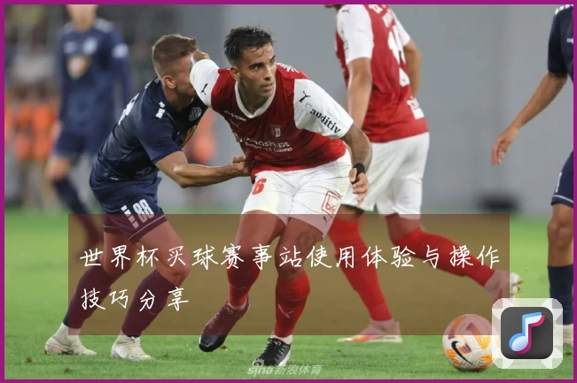世界杯买球赛事站使用体验与操作技巧分享