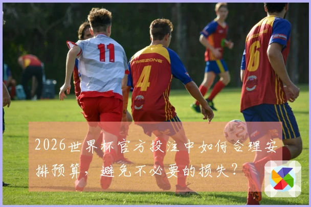 2026世界杯官方投注中如何合理安排预算,避免不必要的损失?