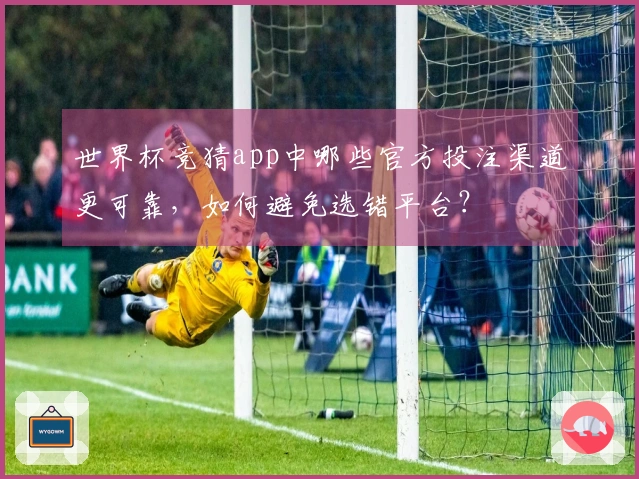 世界杯竞猜app中哪些官方投注渠道更可靠,如何避免选错平台?