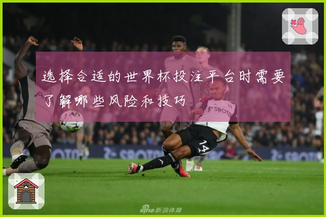 选择合适的世界杯投注平台时需要了解哪些风险和技巧
