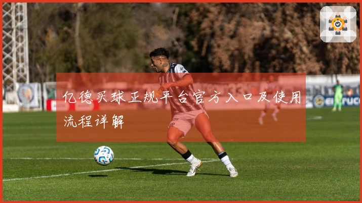 亿德买球正规平台官方入口及使用流程详解