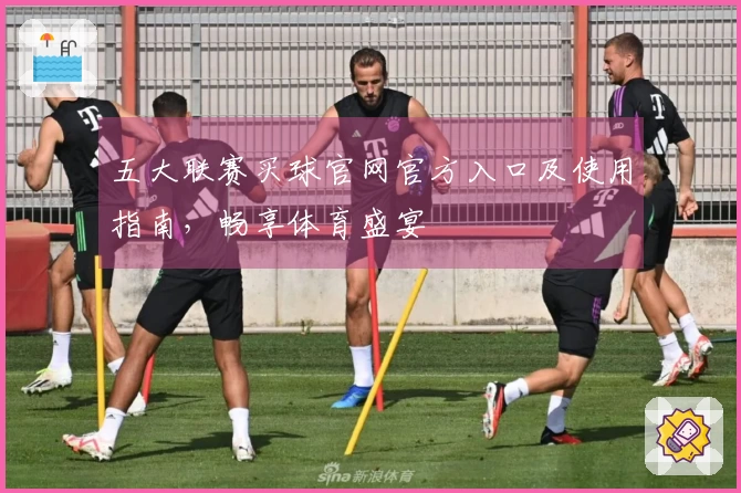 五大联赛买球官网官方入口及使用指南，畅享体育盛宴