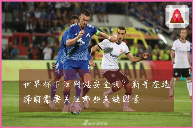 世界杯下注网站安全吗？新手在选择前需要关注哪些关键因素