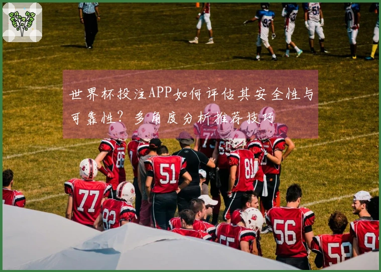 世界杯投注APP如何评估其安全性与可靠性？多角度分析推荐技巧