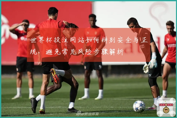 世界杯投注网站如何辨别安全与正规，避免常见风险步骤解析