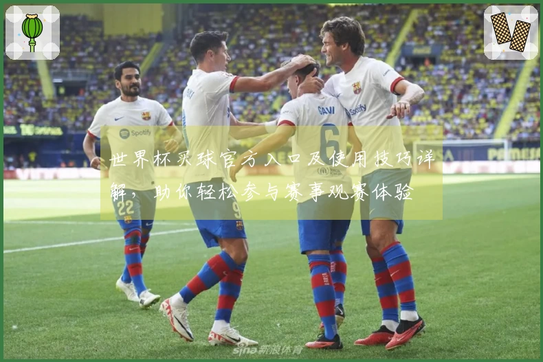 世界杯买球官方入口及使用技巧详解，助你轻松参与赛事观赛体验