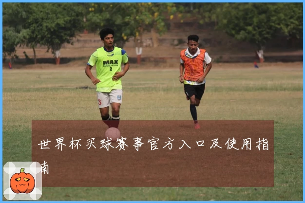 世界杯买球赛事官方入口及使用指南